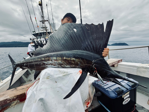 バショウカジキの釣果