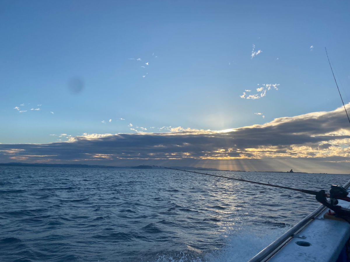 湘南のかつさんの釣果 3枚目の画像
