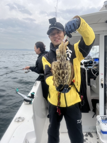 モンゴウイカの釣果