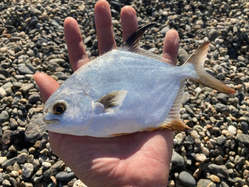 片浜海岸