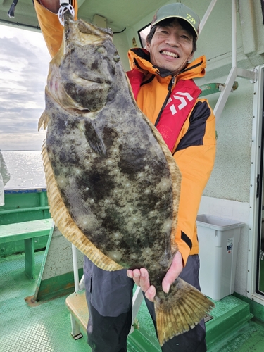 ヒラメの釣果