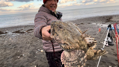 カジカの釣果