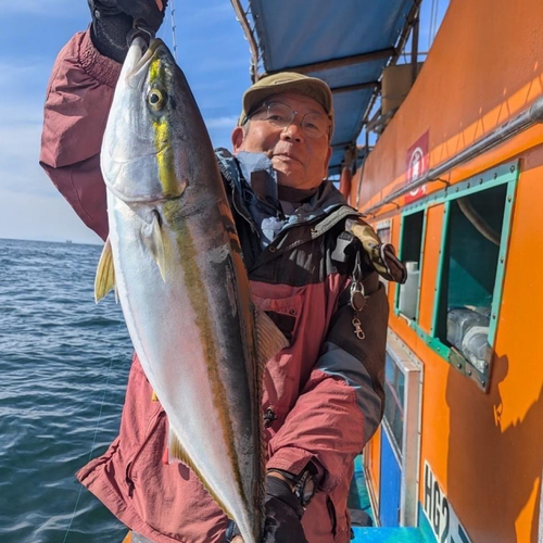 メジロの釣果