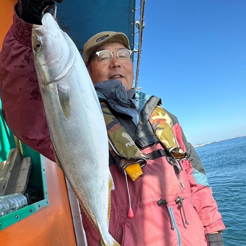 ハマチの釣果