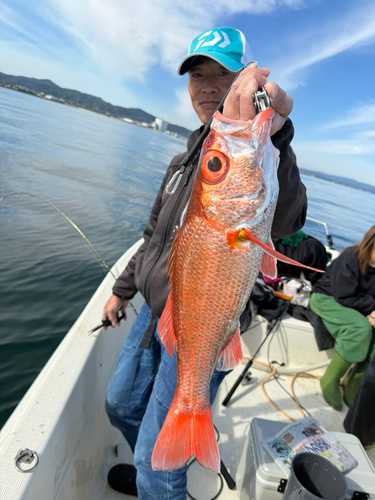 アカムツの釣果