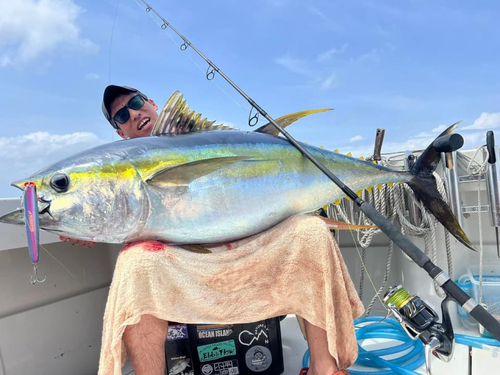 キハダマグロの釣果