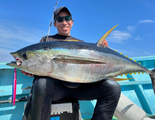 キハダマグロの釣果