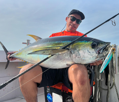 キハダマグロの釣果