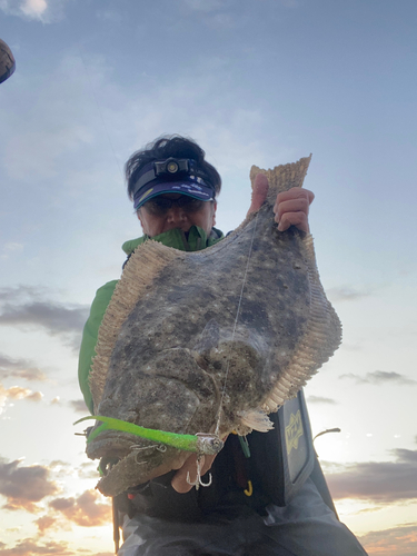 ヒラメの釣果