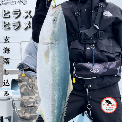 ブリの釣果