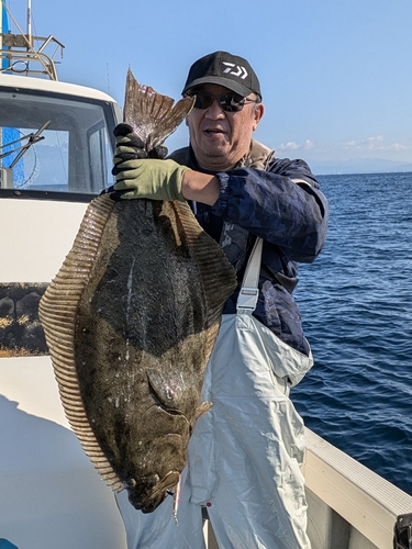 ヒラメの釣果