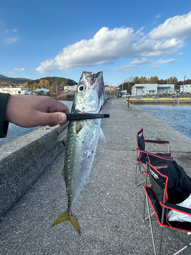 釣果