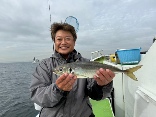 マアジの釣果