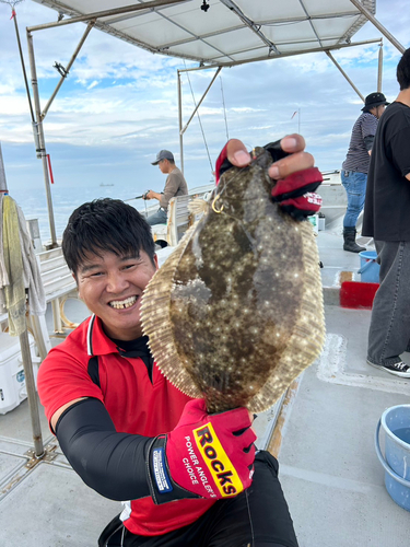 ヒラメの釣果