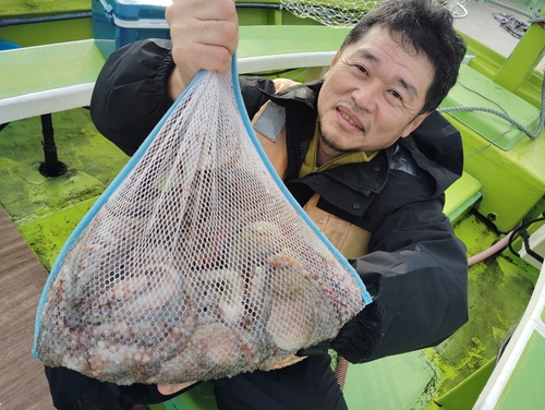 マダコの釣果