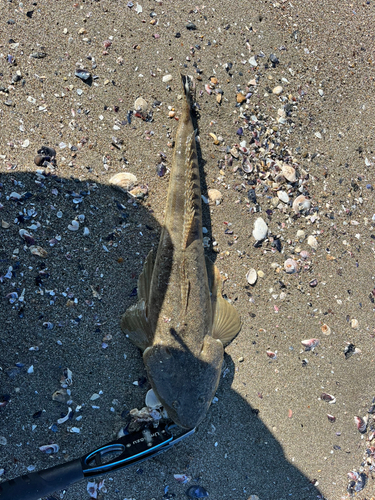 鳴瀬川河口