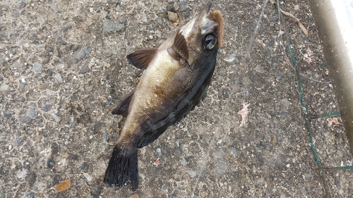 うみかぜ公園