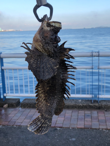 日明海峡釣り公園