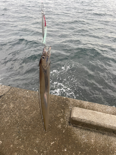 湯の児島