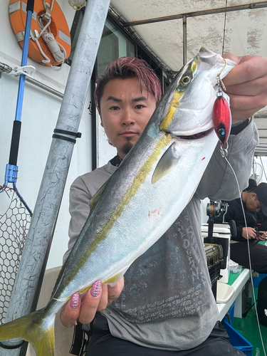 ハマチの釣果