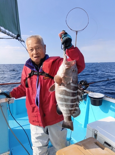 マハタの釣果