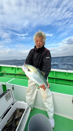 ワラサの釣果