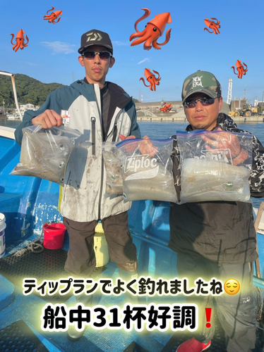 アオリイカの釣果