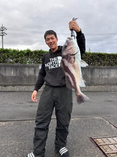 コショウダイの釣果