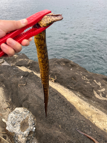 城ヶ島