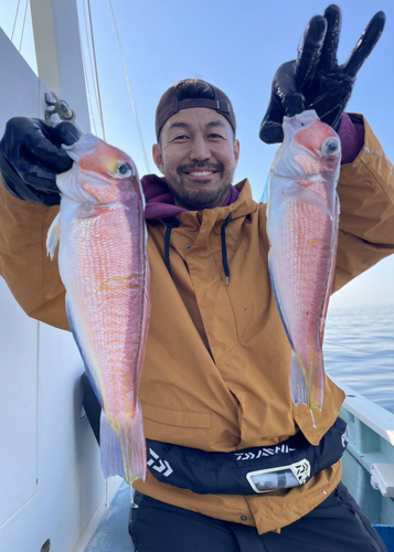 アマダイの釣果