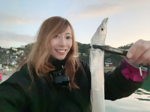 タチウオの釣果