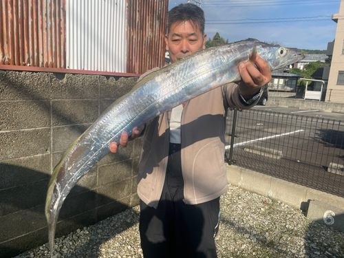 タチウオの釣果