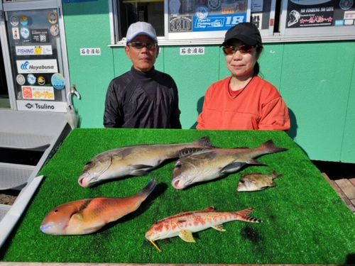 コロダイの釣果