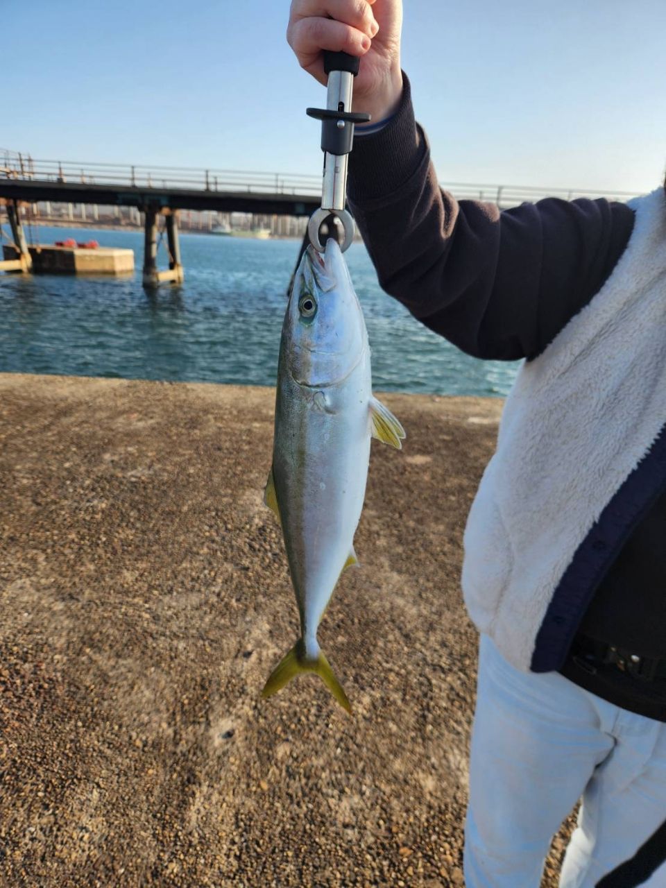 けい12さんの釣果 1枚目の画像