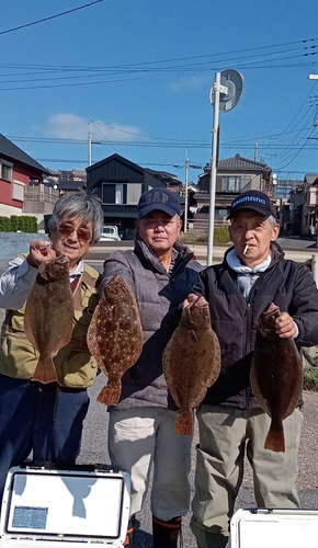 ヒラメの釣果