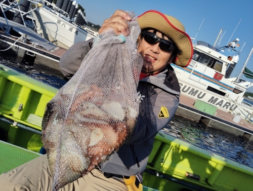 マダコの釣果