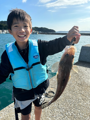 ワニゴチの釣果