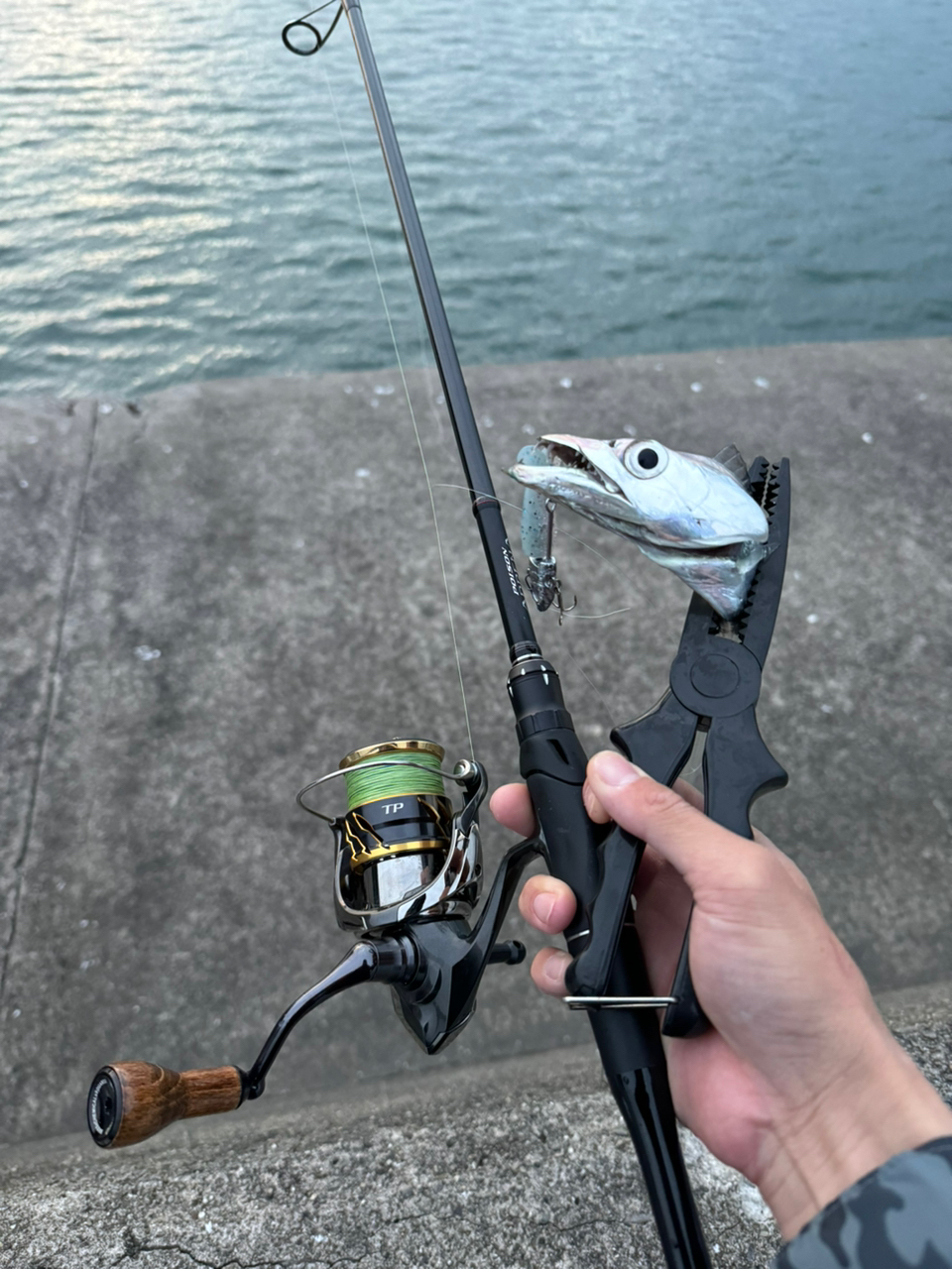 SHIMANO 18ポイズン アドレナ 276M-2の最安値・インプレ・釣果 | 本音の口コミが集まる釣具通販「TACKLE BOX」