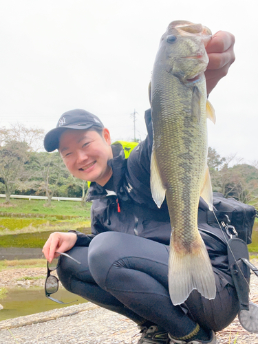 野村ダム湖