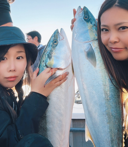 ブリの釣果