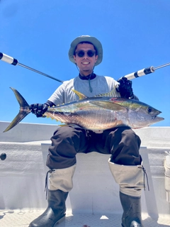 キハダマグロの釣果