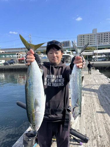 メジロの釣果