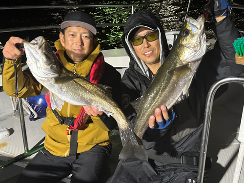 シーバスの釣果