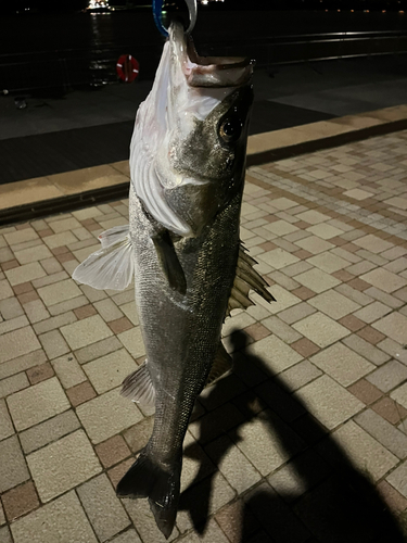 東扇島西公園