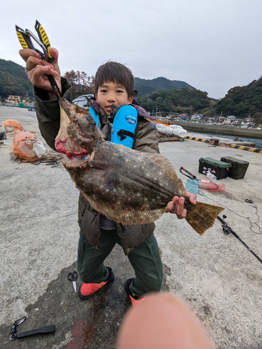 ヒラメの釣果