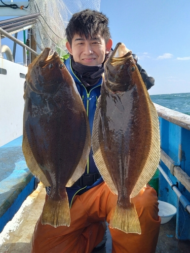 ヒラメの釣果