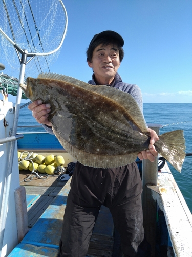 ヒラメの釣果