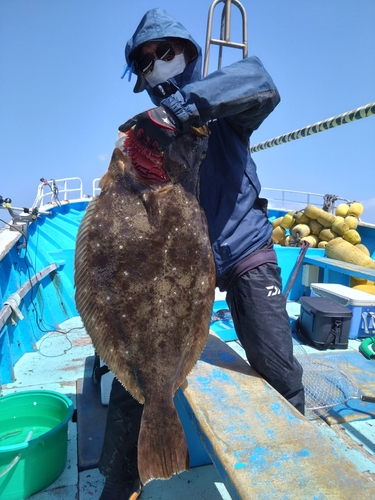 ヒラメの釣果