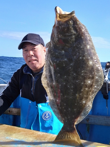 ヒラメの釣果