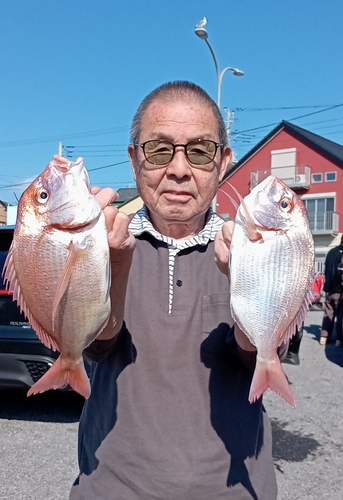 ハナダイの釣果